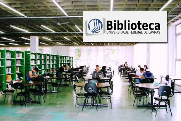 Estrutura Física da Biblioteca